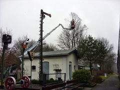 SDC11526