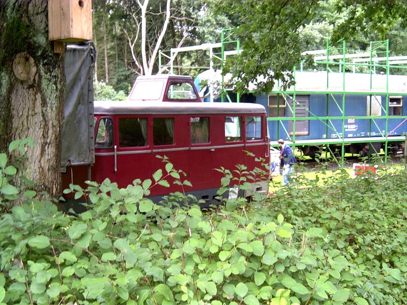Rimg0008.jpg
